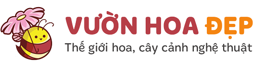 Vườn Hoa Đẹp
